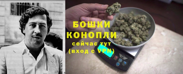 PSILOCYBIN Вяземский