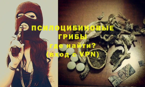 PSILOCYBIN Вяземский
