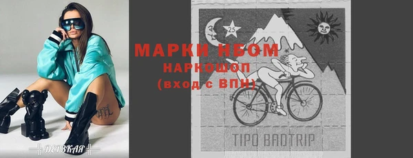 PSILOCYBIN Вяземский