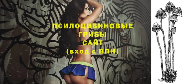 PSILOCYBIN Вяземский