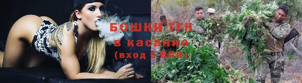 PSILOCYBIN Вяземский
