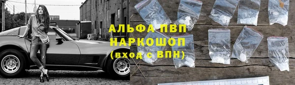 PSILOCYBIN Вяземский